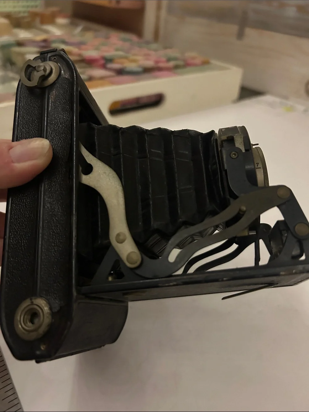 Classic Folding Bellows Camera — Black
